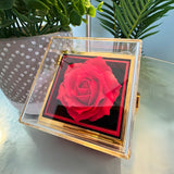 Forever Love Necklace with Eternal Rose Gift Box – A Timeless Gift for Someone Special
