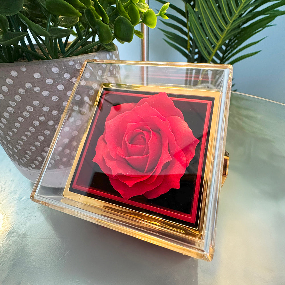 Forever Love Necklace with Eternal Rose Gift Box – A Timeless Gift for Someone Special